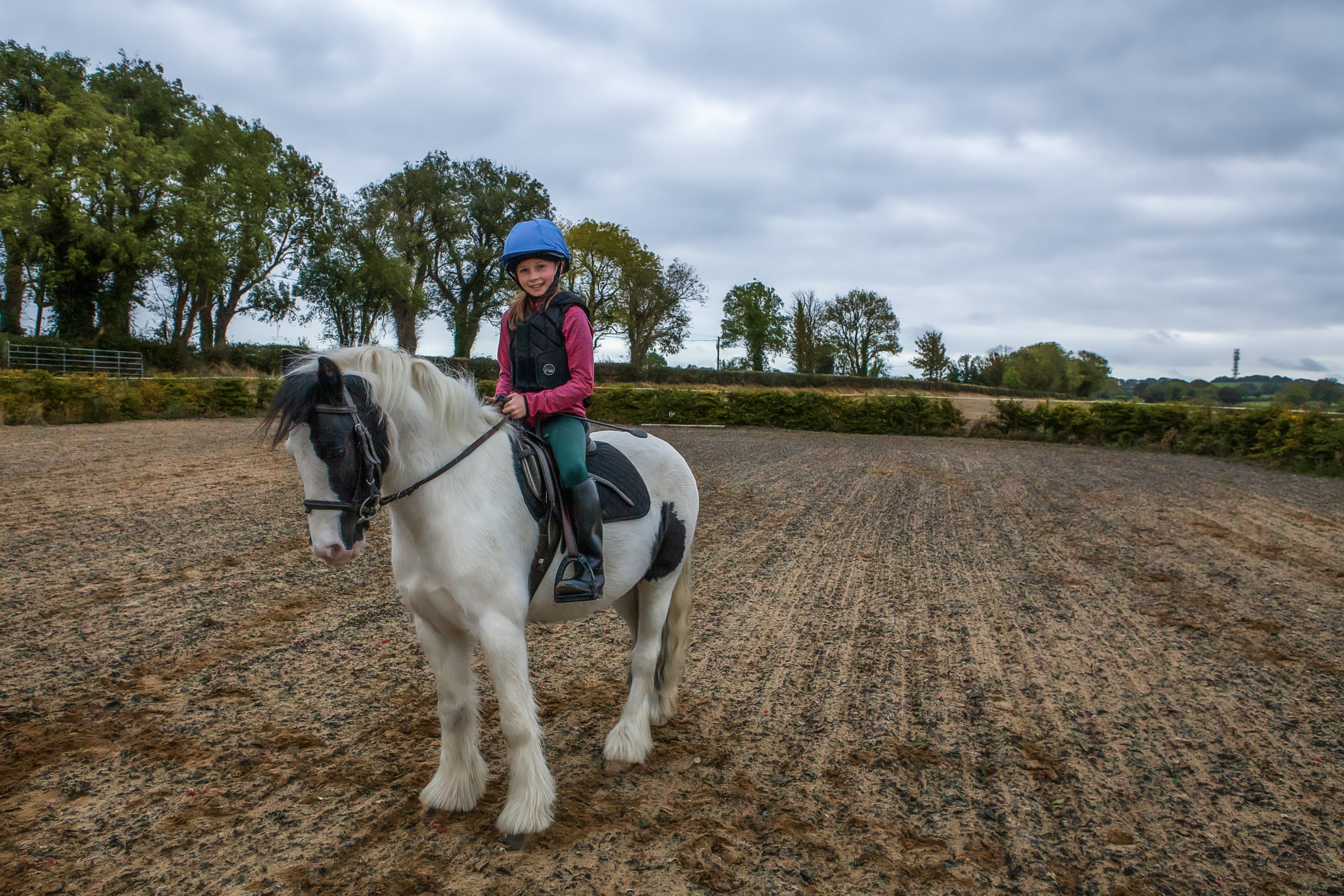 Horse photo shoot €100