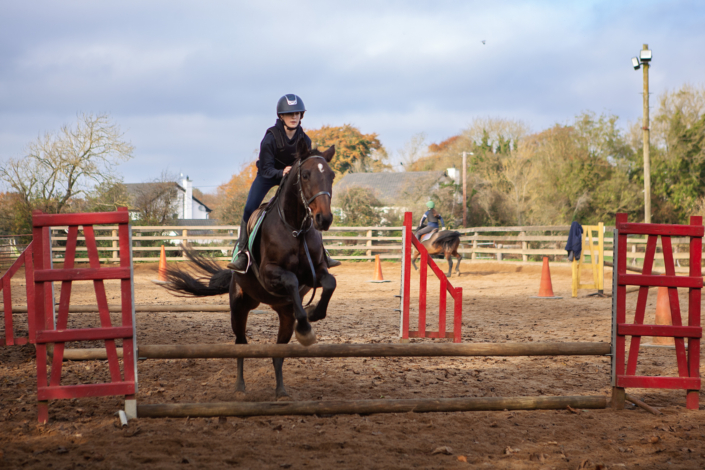 Horse jumping a jump