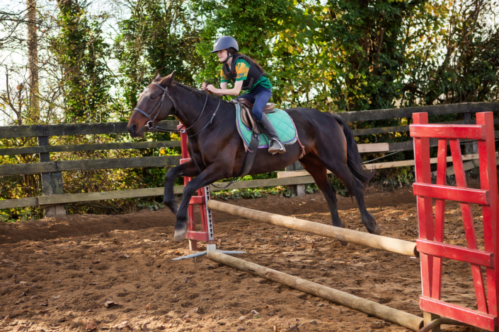 Horse jumping a jump