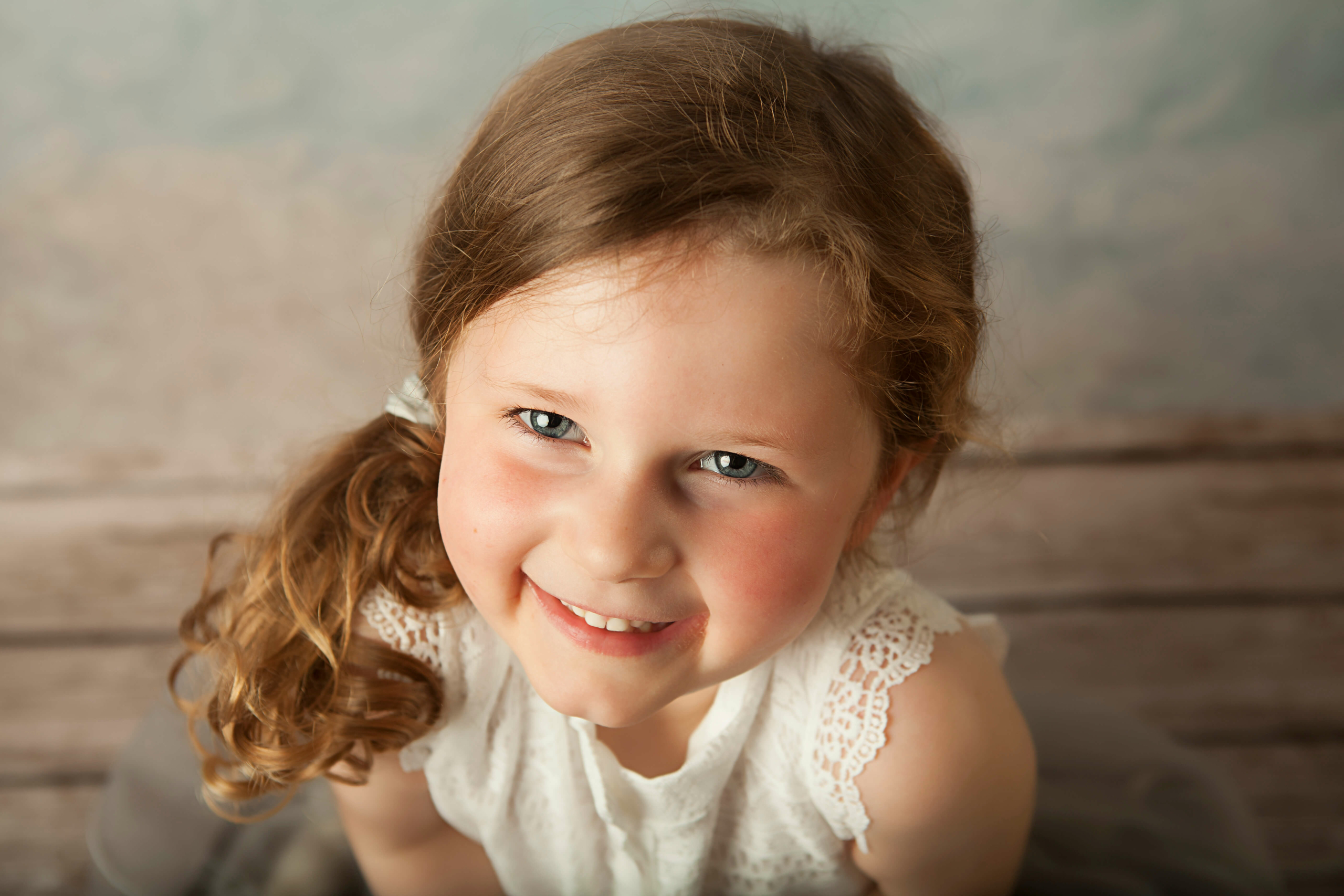 pet photography meath