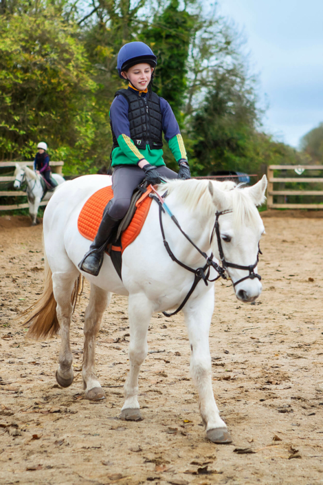 equine photography meath