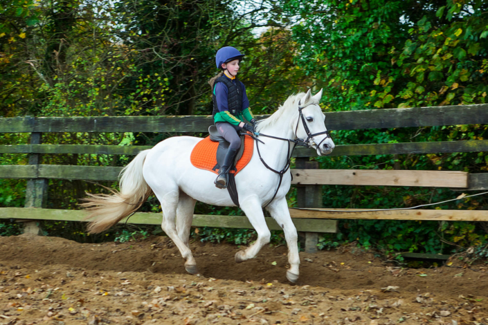 horse riding meath