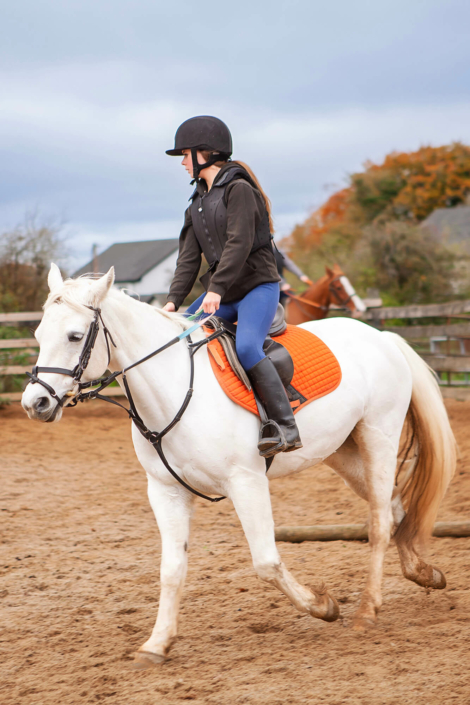 equine photography meath