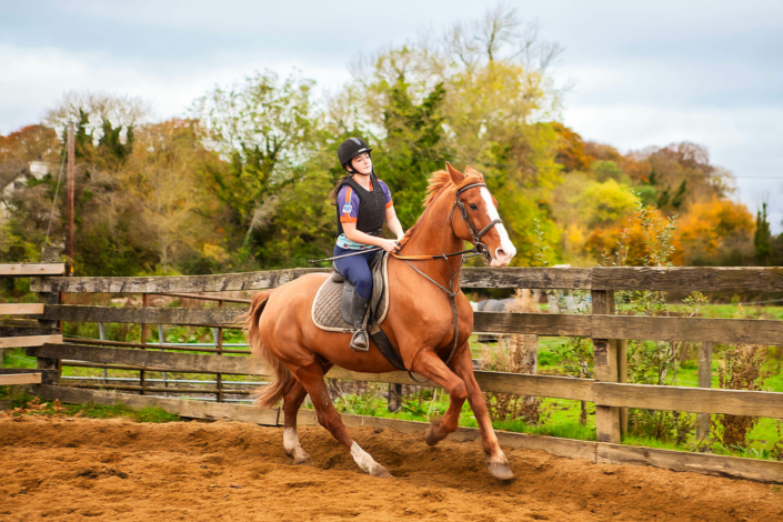 equine photography meath