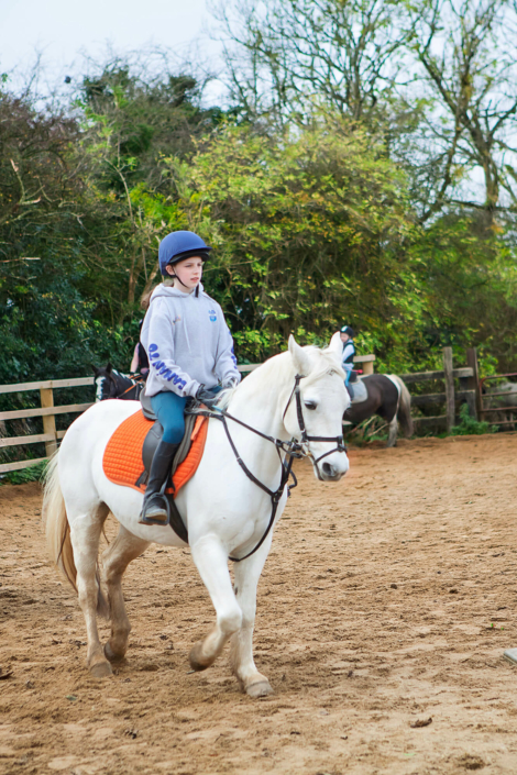 equine photography meath