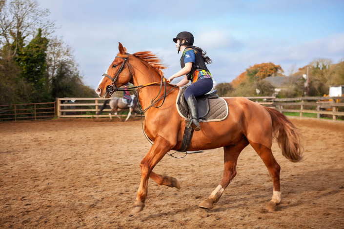 equine photography meath