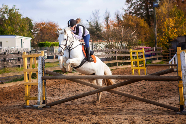 equine photography meath
