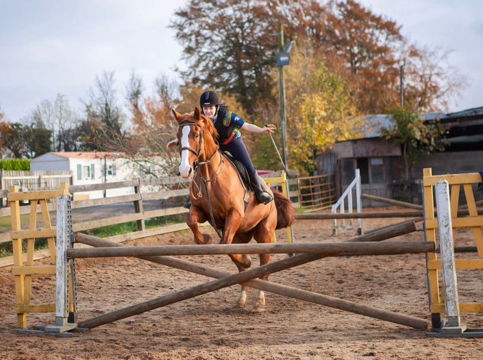 equine photography meath
