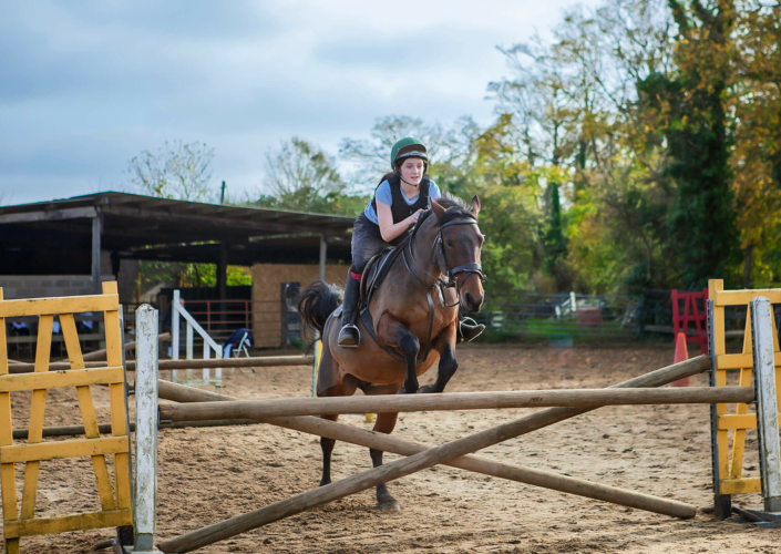 equine photography meath