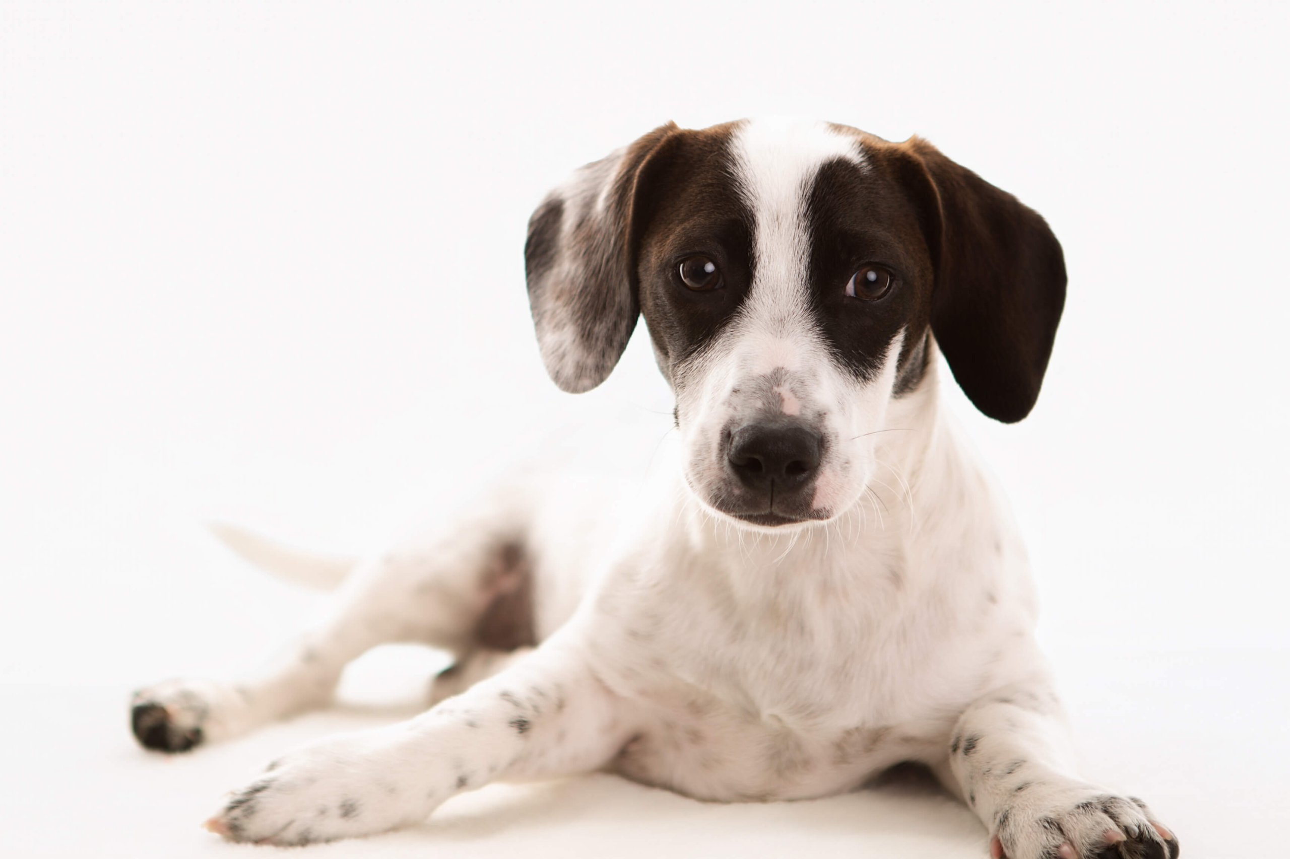 photography packages