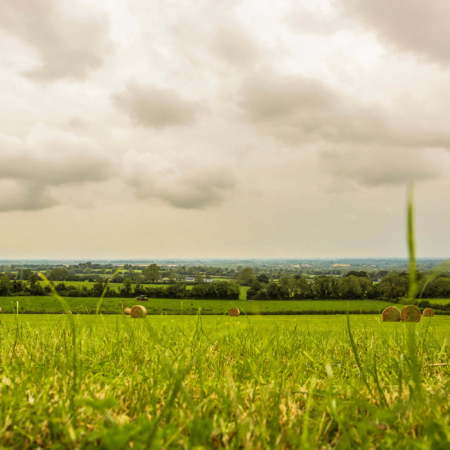 Rolling fields view at Hill of Tara