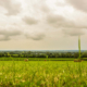 Rolling fields view at Hill of Tara