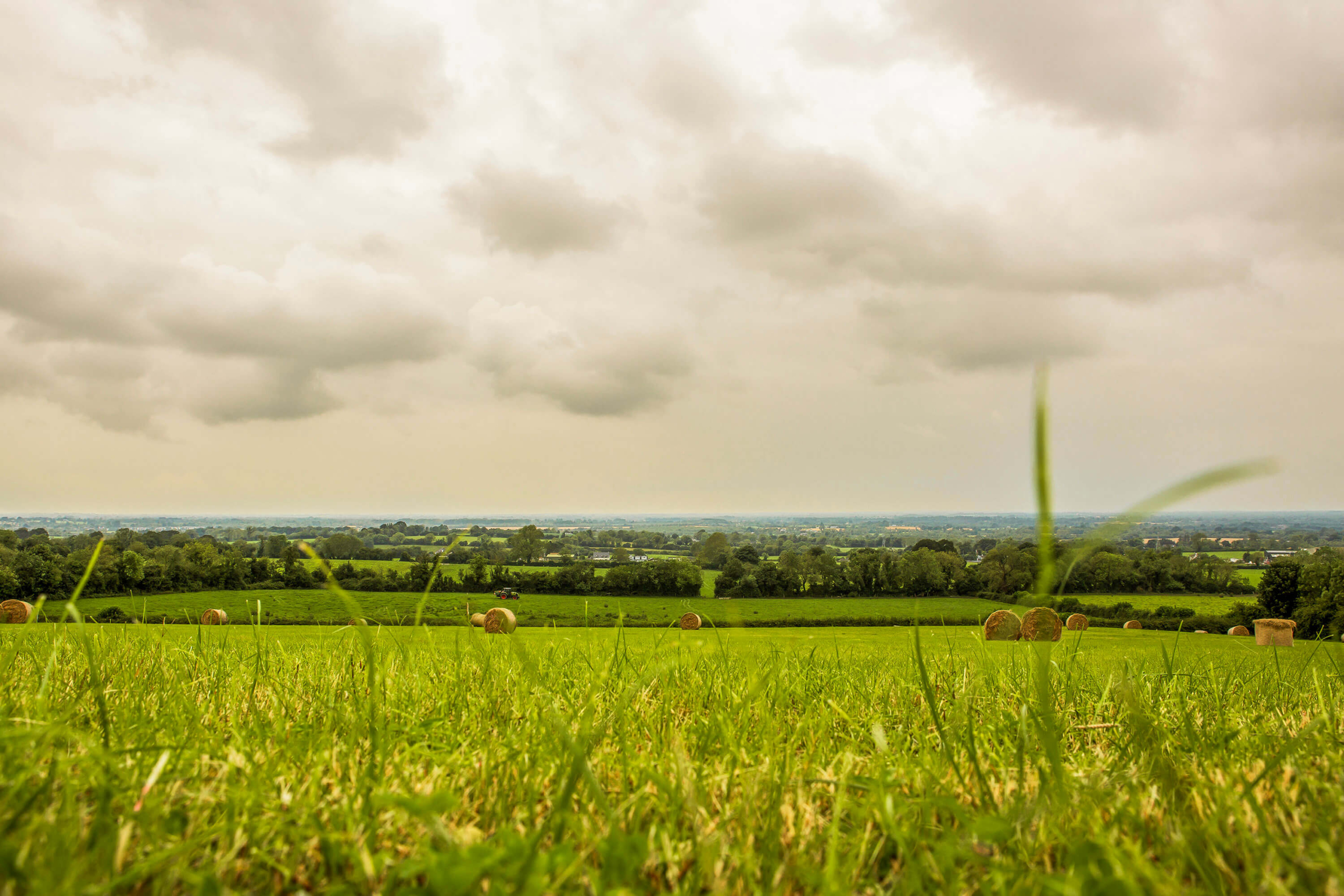 Rolling fields view at Hill of Tara